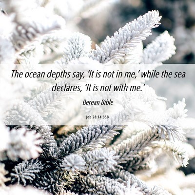 Picture 06 - Job 28:14 BSB - The ocean depths say, ‘It is not in me,’ - Bible Verse Picture