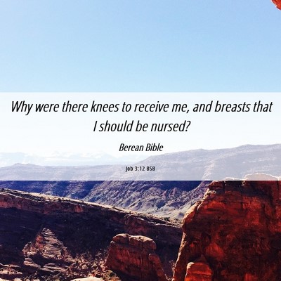 Picture 06 - Job 3:12 BSB - Why were there knees to receive me, and breasts - Bible Verse Picture