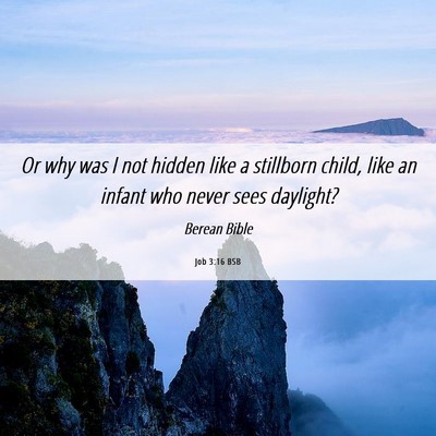 Picture 06 - Job 3:16 BSB - Or why was I not hidden like a stillborn child, - Bible Verse Picture