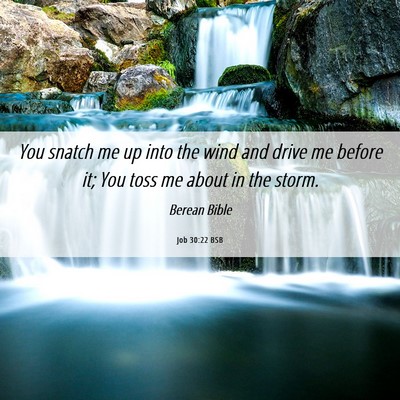 Picture 06 - Job 30:22 BSB - You snatch me up into the wind and drive me - Bible Verse Picture