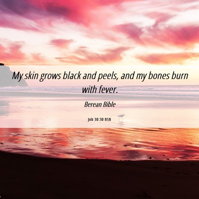 Picture 06 - Job 30:30 BSB - My skin grows black and peels, and my bones burn - Bible Verse Picture
