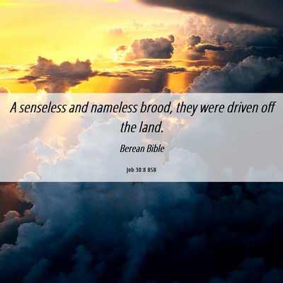 Picture 06 - Job 30:8 BSB - A senseless and nameless brood, they were driven - Bible Verse Picture