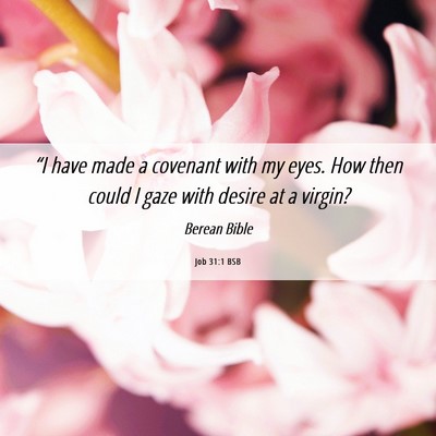 Picture 06 - Job 31:1 BSB - “I have made a covenant with my eyes. How then - Bible Verse Picture