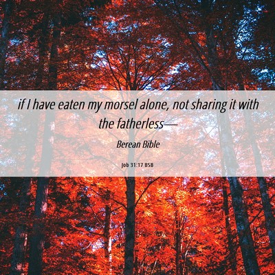 Picture 06 - Job 31:17 BSB - if I have eaten my morsel alone, not sharing it - Bible Verse Picture