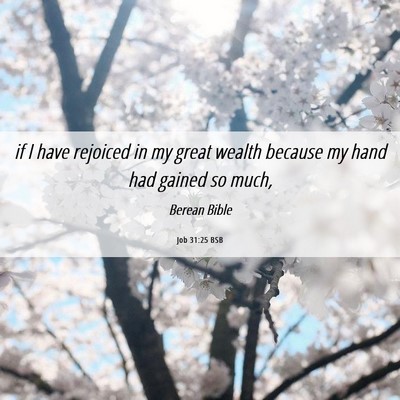 Picture 06 - Job 31:25 BSB - if I have rejoiced in my great wealth because my - Bible Verse Picture