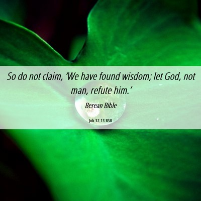 Picture 06 - Job 32:13 BSB - So do not claim, ‘We have found wisdom; let - Bible Verse Picture