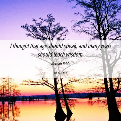 Picture 06 - Job 32:7 BSB - I thought that age should speak, and many years - Bible Verse Picture
