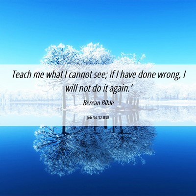 Picture 06 - Job 34:32 BSB - Teach me what I cannot see; if I have done wrong, - Bible Verse Picture