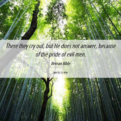 Picture 06 - Job 35:12 BSB - There they cry out, but He does not answer, - Bible Verse Picture