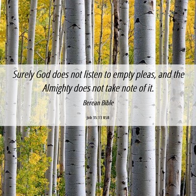 Picture 06 - Job 35:13 BSB - Surely God does not listen to empty pleas, and - Bible Verse Picture