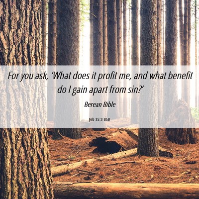 Picture 06 - Job 35:3 BSB - For you ask, ‘What does it profit me, and what - Bible Verse Picture