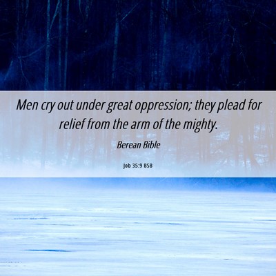 Picture 06 - Job 35:9 BSB - Men cry out under great oppression; they plead - Bible Verse Picture