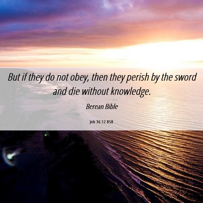 Picture 06 - Job 36:12 BSB - But if they do not obey, then they perish by the - Bible Verse Picture