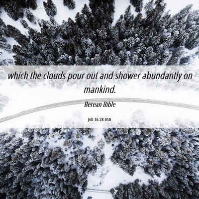 Picture 06 - Job 36:28 BSB - which the clouds pour out and shower abundantly - Bible Verse Picture