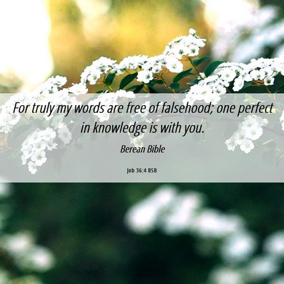 Picture 06 - Job 36:4 BSB - For truly my words are free of falsehood; one - Bible Verse Picture