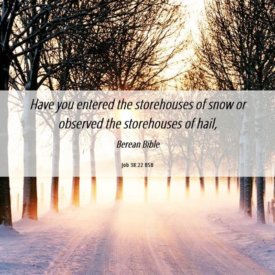 Picture 06 - Job 38:22 BSB - Have you entered the storehouses of snow or - Bible Verse Picture