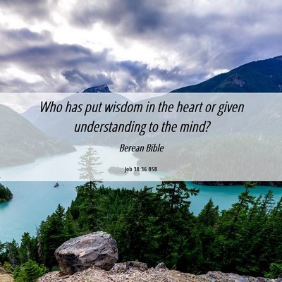 Picture 06 - Job 38:36 BSB - Who has put wisdom in the heart or given - Bible Verse Picture