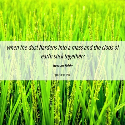 Picture 06 - Job 38:38 BSB - when the dust hardens into a mass and the clods - Bible Verse Picture