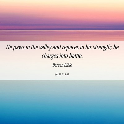 Picture 06 - Job 39:21 BSB - He paws in the valley and rejoices in his - Bible Verse Picture