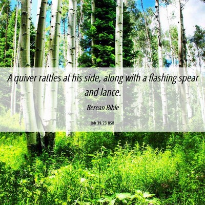 Picture 06 - Job 39:23 BSB - A quiver rattles at his side, along with a - Bible Verse Picture