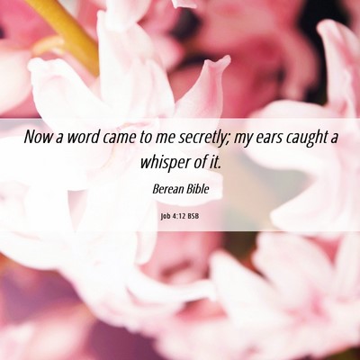 Picture 06 - Job 4:12 BSB - Now a word came to me secretly; my ears caught a - Bible Verse Picture