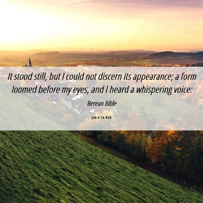Picture 06 - Job 4:16 BSB - It stood still, but I could not discern its - Bible Verse Picture