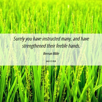Picture 06 - Job 4:3 BSB - Surely you have instructed many, and have - Bible Verse Picture