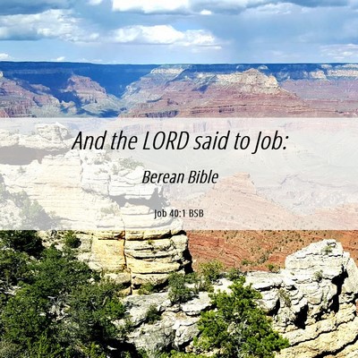 Picture 06 - Job 40:1 BSB - And the LORD said to - Bible Verse Picture