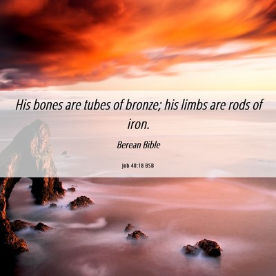 Picture 06 - Job 40:18 BSB - His bones are tubes of bronze; his limbs are rods - Bible Verse Picture