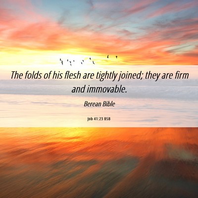Picture 06 - Job 41:23 BSB - The folds of his flesh are tightly joined; they - Bible Verse Picture