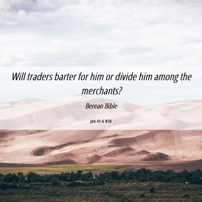 Picture 06 - Job 41:6 BSB - Will traders barter for him or divide him among - Bible Verse Picture