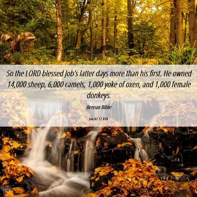 Picture 06 - Job 42:12 BSB - So the LORD blessed Job’s latter days more than - Bible Verse Picture