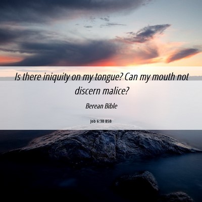Picture 06 - Job 6:30 BSB - Is there iniquity on my tongue? Can my mouth not - Bible Verse Picture