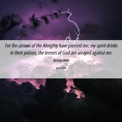 Picture 06 - Job 6:4 BSB - For the arrows of the Almighty have pierced me; - Bible Verse Picture