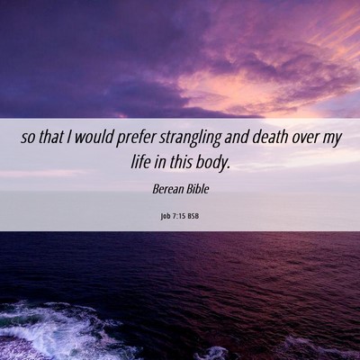 Picture 06 - Job 7:15 BSB - so that I would prefer strangling and death over - Bible Verse Picture