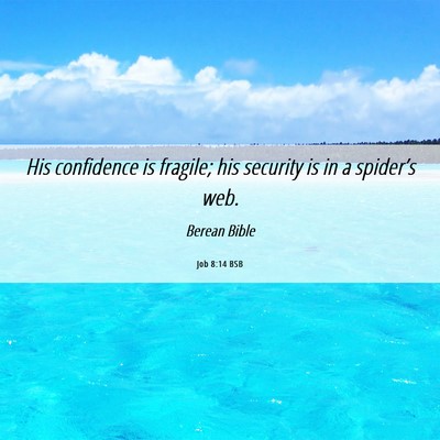 Picture 06 - Job 8:14 BSB - His confidence is fragile; his security is in a - Bible Verse Picture