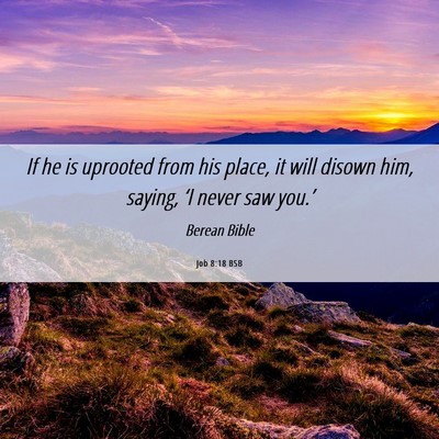 Picture 06 - Job 8:18 BSB - If he is uprooted from his place, it will disown - Bible Verse Picture