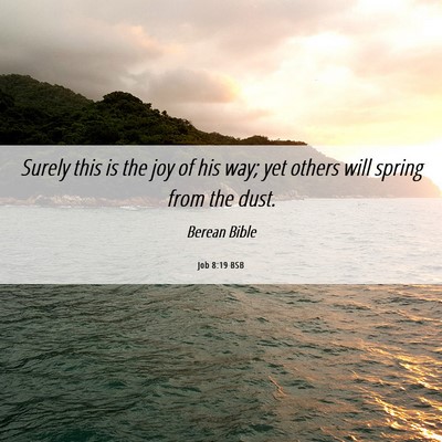 Picture 06 - Job 8:19 BSB - Surely this is the joy of his way; yet others - Bible Verse Picture