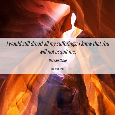 Picture 06 - Job 9:28 BSB - I would still dread all my sufferings; I know - Bible Verse Picture