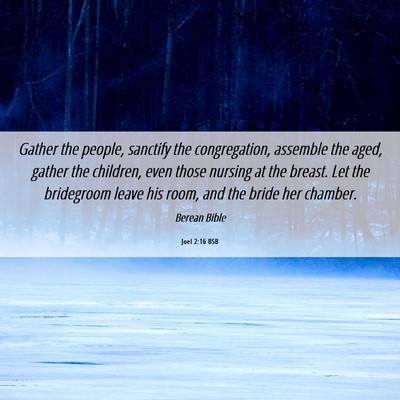 Picture 06 - Joel 2:16 BSB - Gather the people, sanctify the congregation, - Bible Verse Picture