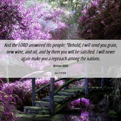 Picture 06 - Joel 2:19 BSB - And the LORD answered His people: “Behold, I - Bible Verse Picture
