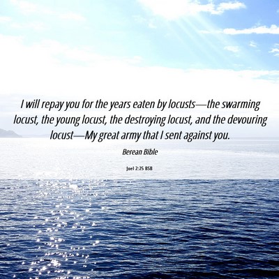 Picture 06 - Joel 2:25 BSB - I will repay you for the years eaten by - Bible Verse Picture