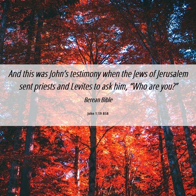 Picture 06 - John 1:19 BSB - And this was John’s testimony when the Jews of - Bible Verse Picture