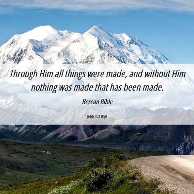 Picture 06 - John 1:3 BSB - Through Him all things were made, and without Him - Bible Verse Picture