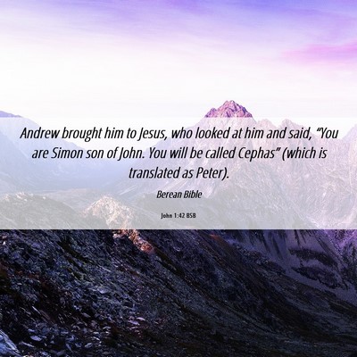 Picture 06 - John 1:42 BSB - Andrew brought him to Jesus, who looked at him - Bible Verse Picture