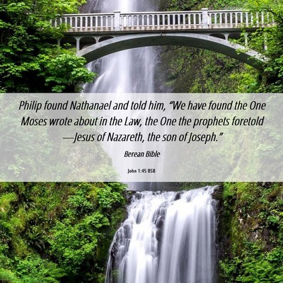 Picture 06 - John 1:45 BSB - Philip found Nathanael and told him, “We have - Bible Verse Picture