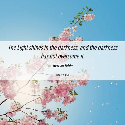 Picture 06 - John 1:5 BSB - The Light shines in the darkness, and the - Bible Verse Picture