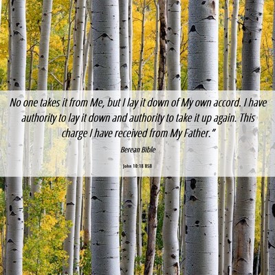 Picture 06 - John 10:18 BSB - No one takes it from Me, but I lay it down of My - Bible Verse Picture