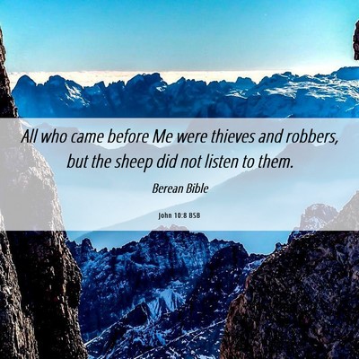 Picture 06 - John 10:8 BSB - All who came before Me were thieves and robbers, - Bible Verse Picture