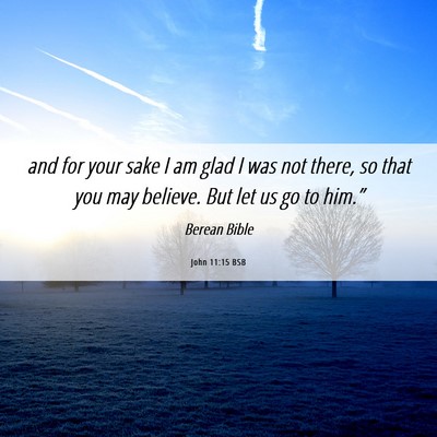 Picture 06 - John 11:15 BSB - and for your sake I am glad I was not there, so - Bible Verse Picture